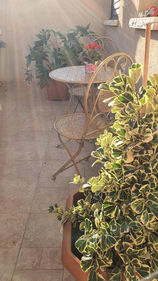 Apartment B דירת נופש בדרום רמת הגולן *